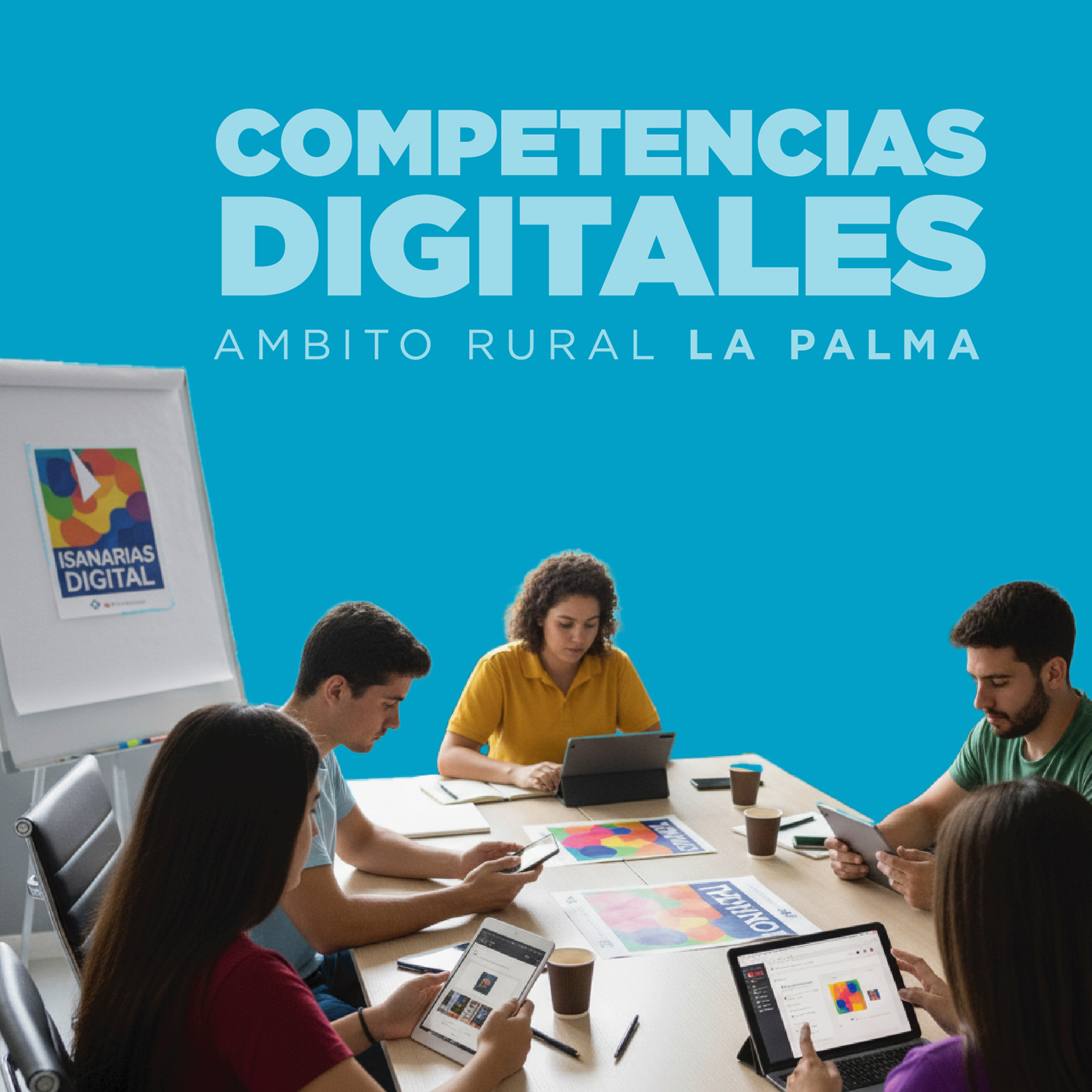Competencias Digitales La Palma